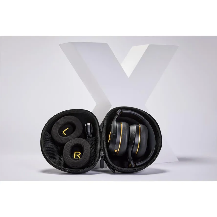 BlueAnt PumpX Gym ANC Over-Ear Headphones (Black/Gold)