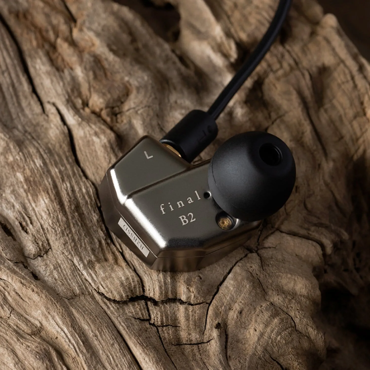 Final Audio B2 In Ear Monitors