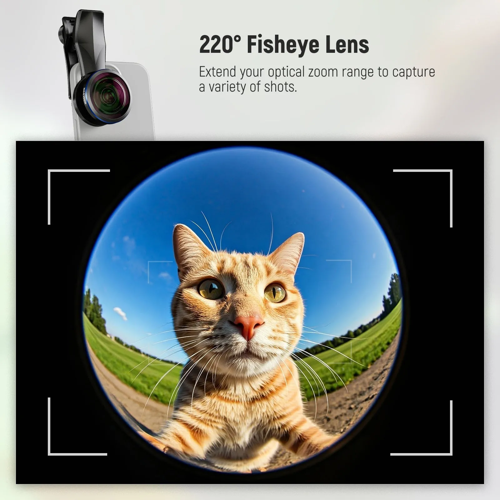 NEEWER LS-29 PRO 8mm Fisheye Lens with 17mm Thread Phone Clip